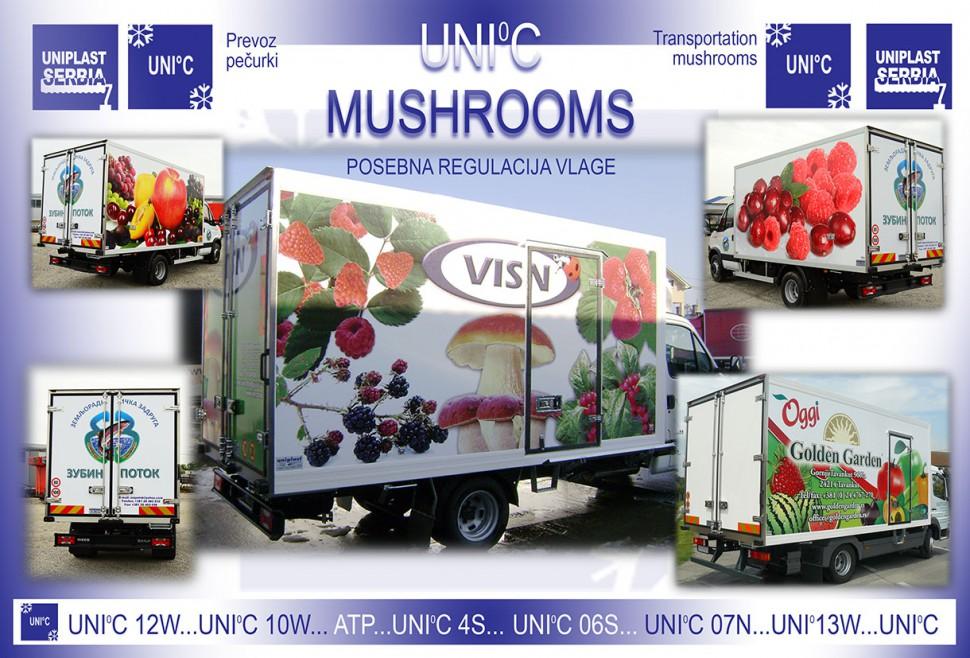 MUSHROOMS - refrigerators for transporting mushrooms
